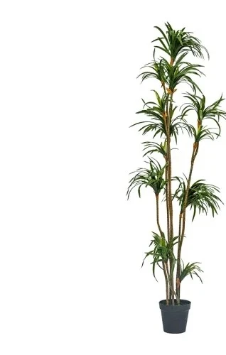 Dracaena Marginata - Plante artificielle Dracaena Dracaena Marginata verte,