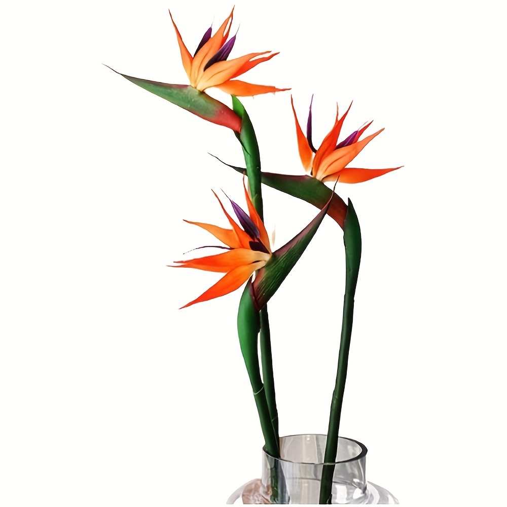 Bird Paradise Strelitzia - Fleurs d'oiseaux du ciel artificielles, 3