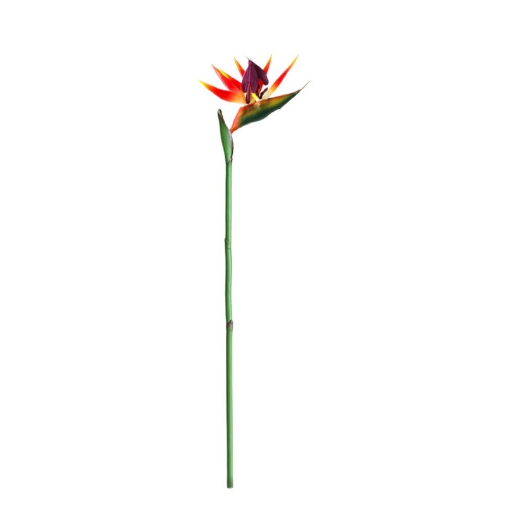 Plantes artificielles Strelitz - Bird Paradise Strelitzia avis et prix
