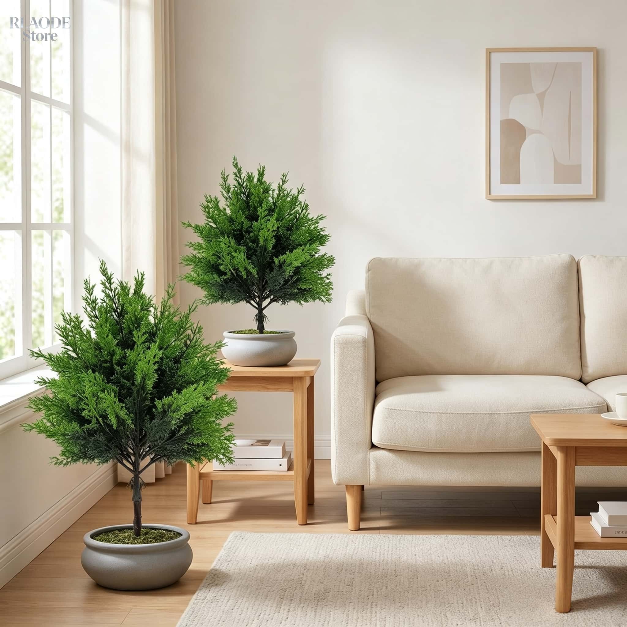 Vert artificiel d'extérieur, 2 - Dracaena Marginata avis et prix