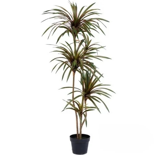 Plante artificielle colorée en - Dracaena Marginata avis et prix