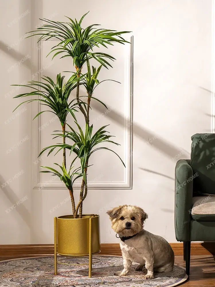 Plante artificielle colorée en - Dracaena Marginata avis et prix