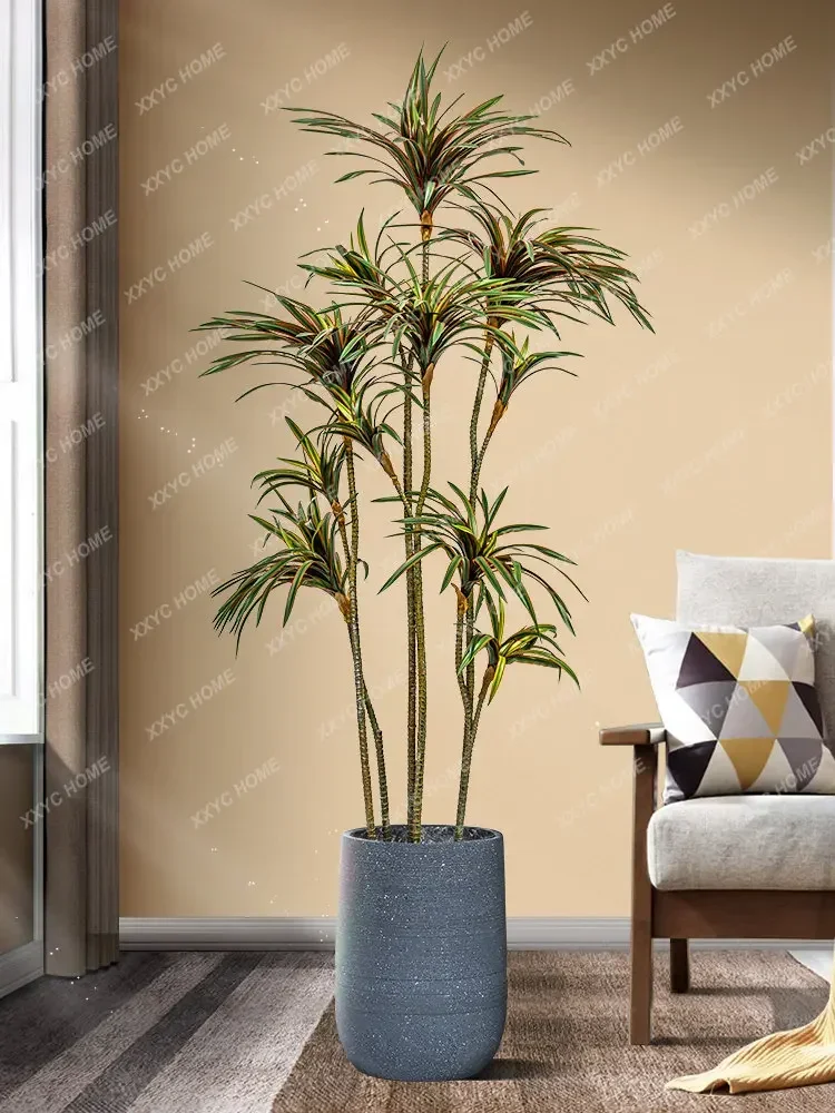 Plante artificielle Dracaena D - Dracaena Marginata avis et prix