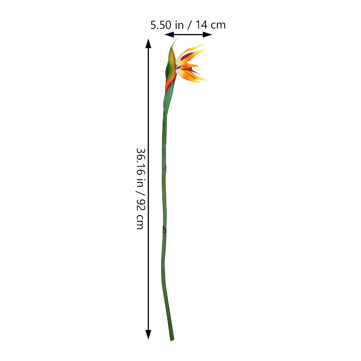 Plante artificielle de l'oisea - Bird Paradise Strelitzia avis et prix