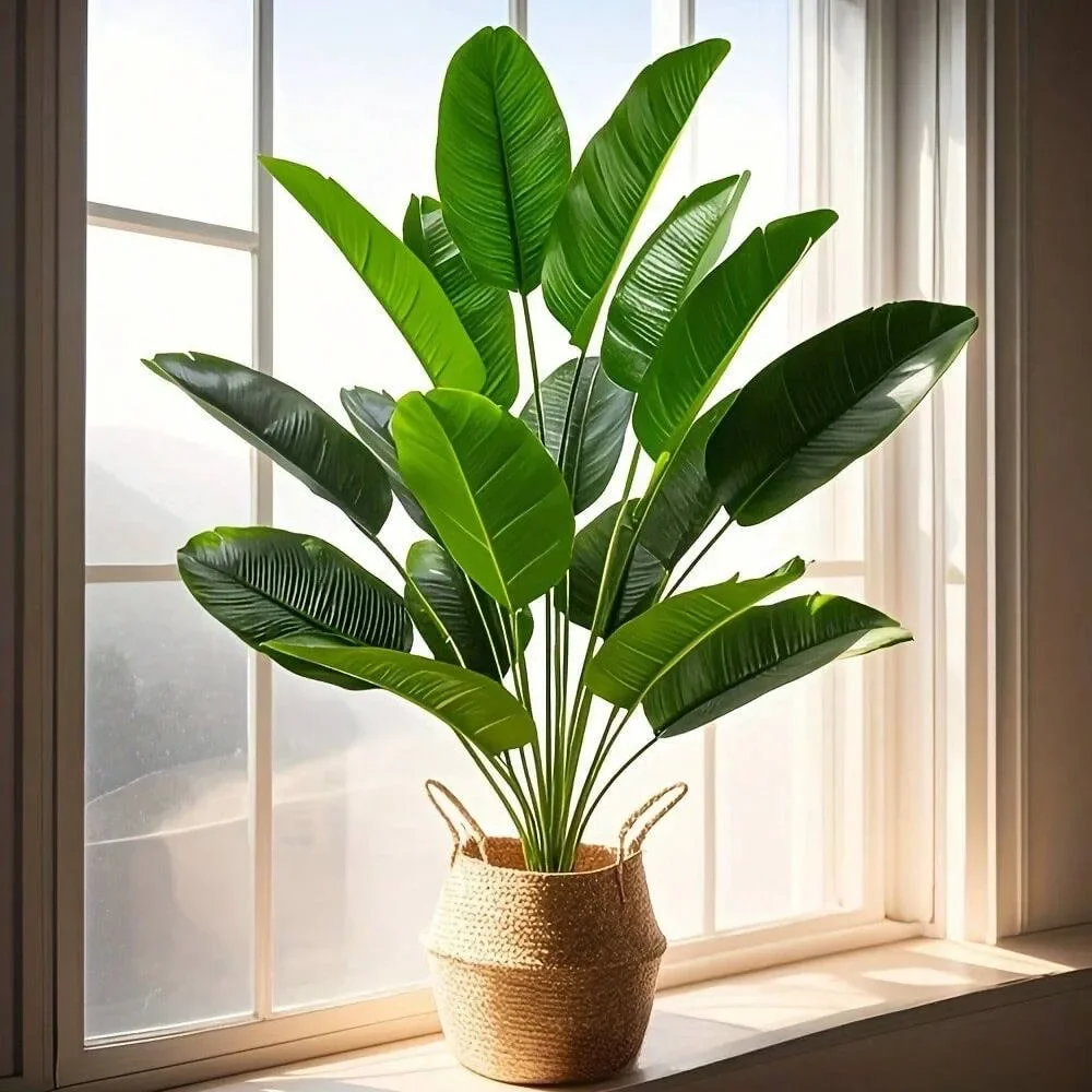 1pc 18 feuilles plantes artifi - Dracaena Marginata avis et prix