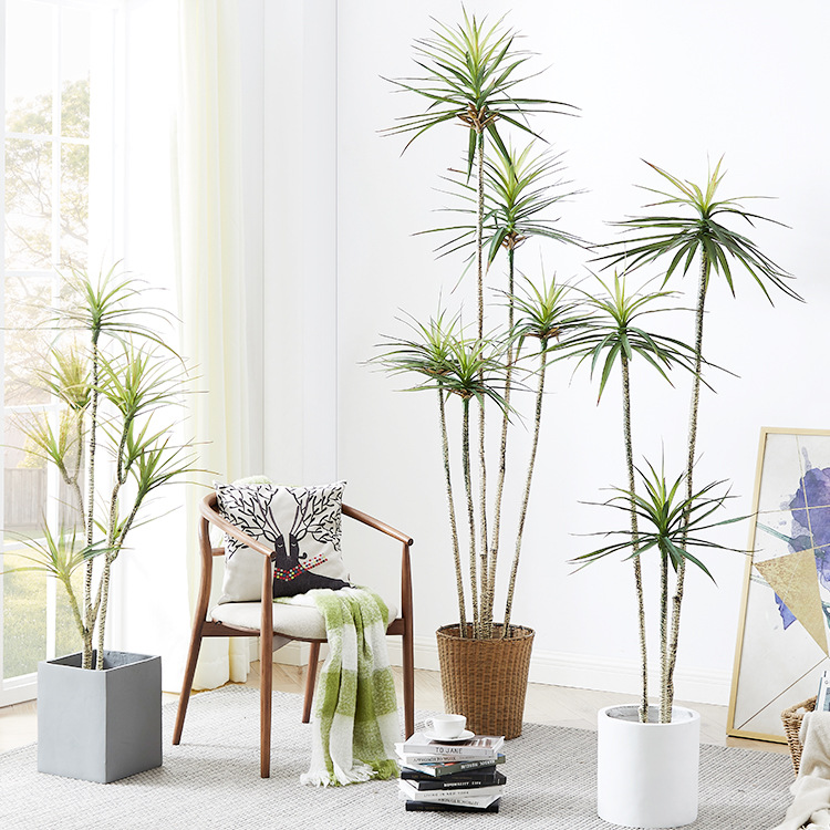 Plastique artificiel en pot ​  - Dracaena Marginata avis et prix